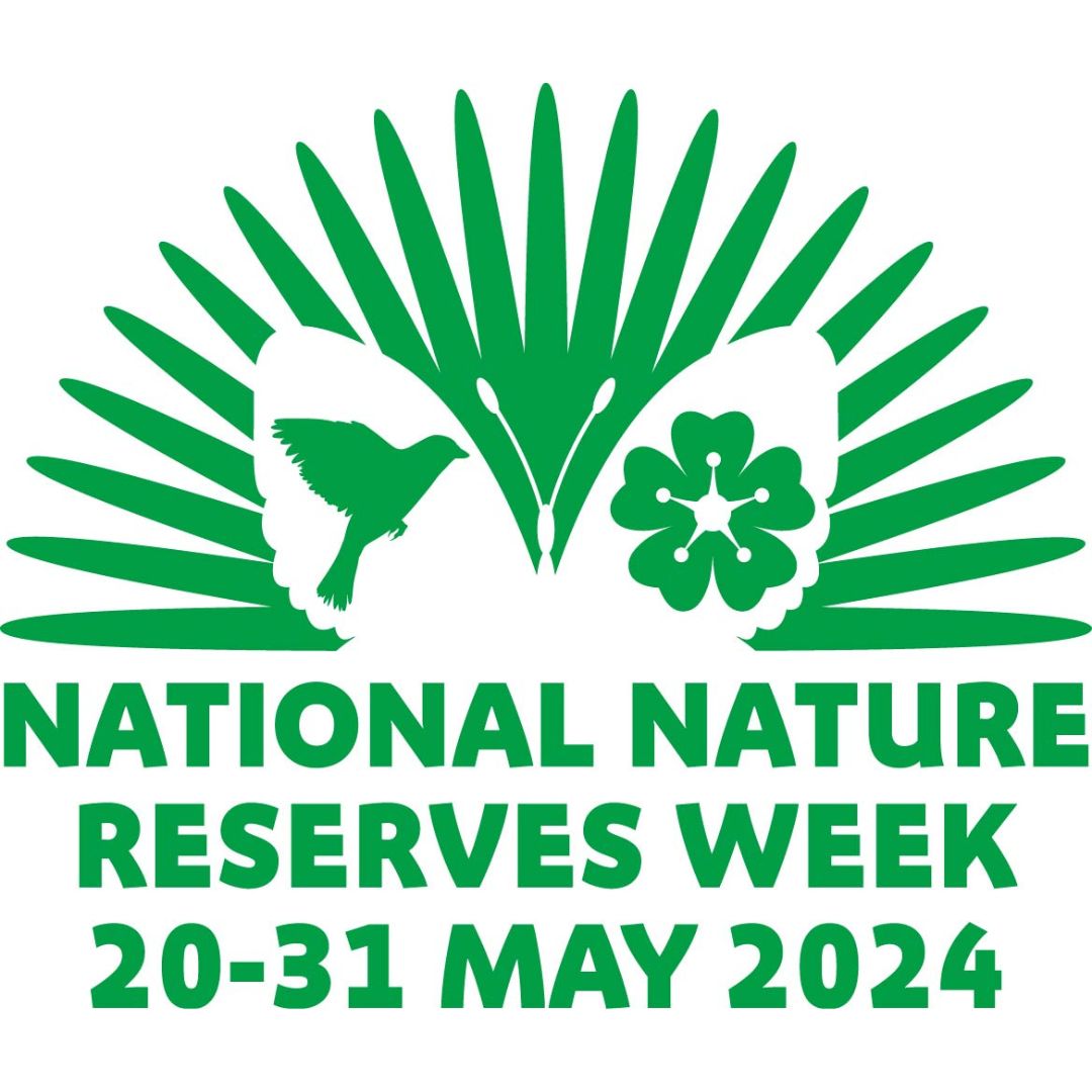 🏞️It's our next event reveal for #NNRweek!

🧭Explore Cavenham Heath with the Grand Re-Opening of its new trail!

🦎There'll be lots of stops along the way to spot wildlife and learn more about this wonderful National Nature Reserve

🤳Book for FREE via the link in our bio