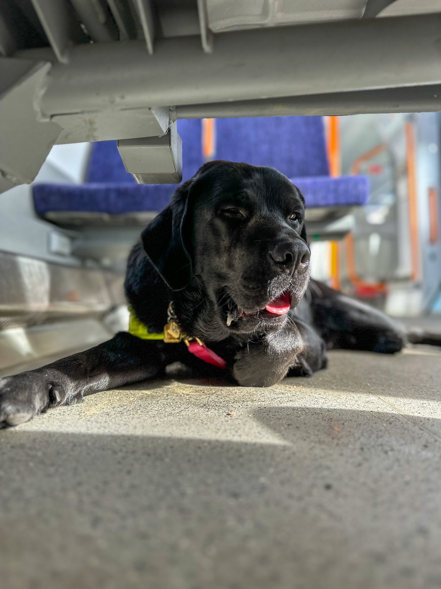Getting some much deserved rest before we pull into our stop & I’m back pounding the pavement again. Who else is enjoying the beautiful weather? ☀️ #TongueOutTuesday