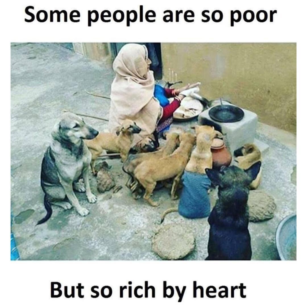 Some people are so poor 😔 But so rich by heart ❤️😊

#Dogexpress #Celebratingdoglove #Doglovers #Dogowners #lovemydog #doglove #doglife🐾 #poorpeople #RichByHeart #dogcare #purelove #dogpicture #petstagram #dogstagram #dogsofinstagramuk