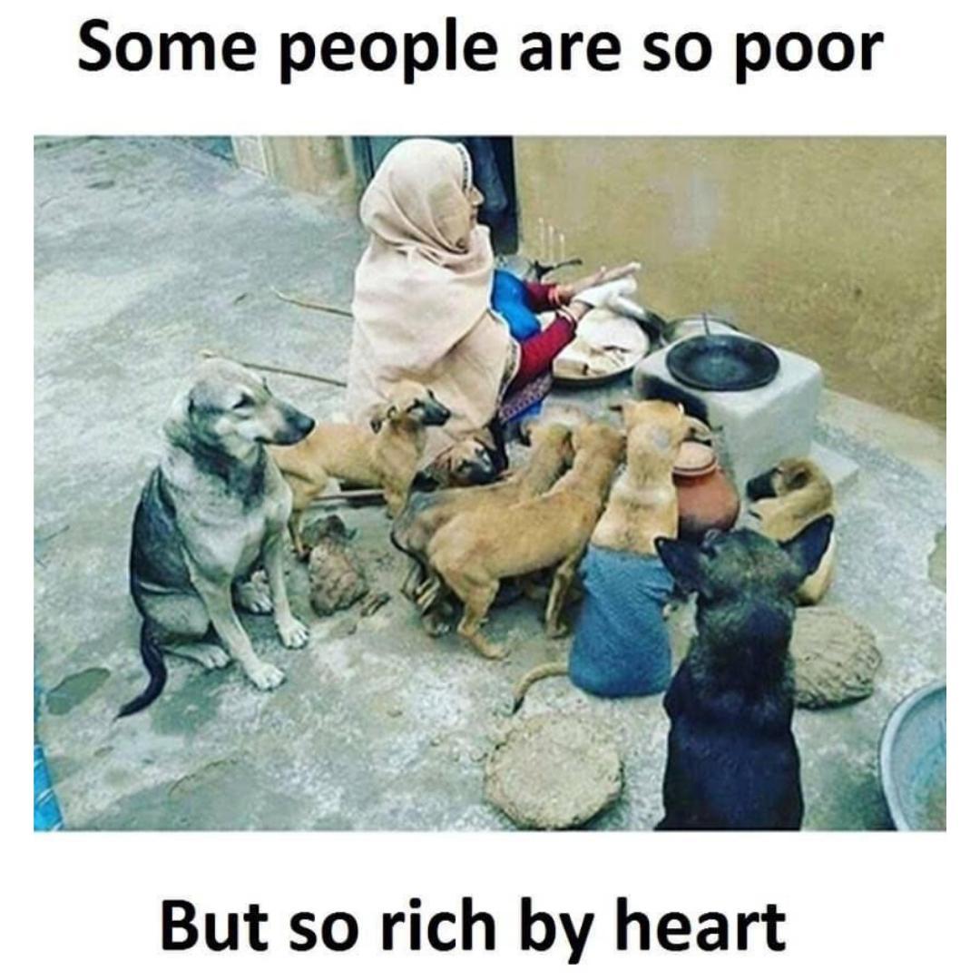 Dog_express's tweet photo. Some people are so poor 😔 But so rich by heart ❤️😊
#Dogexpress #Celebratingdoglove #Doglovers #Dogowners #lovemydog #doglove #doglife🐾 #poorpeople #RichByHeart #dogcare #purelove #dogpicture #petstagram #dogstagram #dogsofinstagramuk https://t.co/nerrCPUz4A