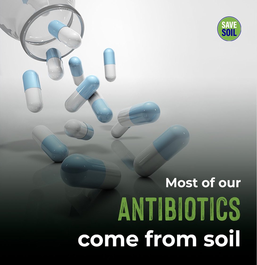 Soil microbes are a source with tremendous potential for new antibiotic discoveries. The excessive use of herbicide can further jeopardize this unique potential-IUSS
#cpsavesoil #SaveSoilFixClimateChange 
✍️Write a letter #PolicyForSoil savesoil.org/write