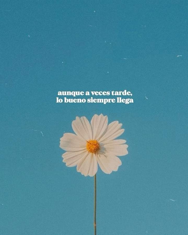 jordaninavarro's tweet photo. Buenas palabras abrirán puertas de hierro.🌼 https://t.co/jFz8lBBtkh