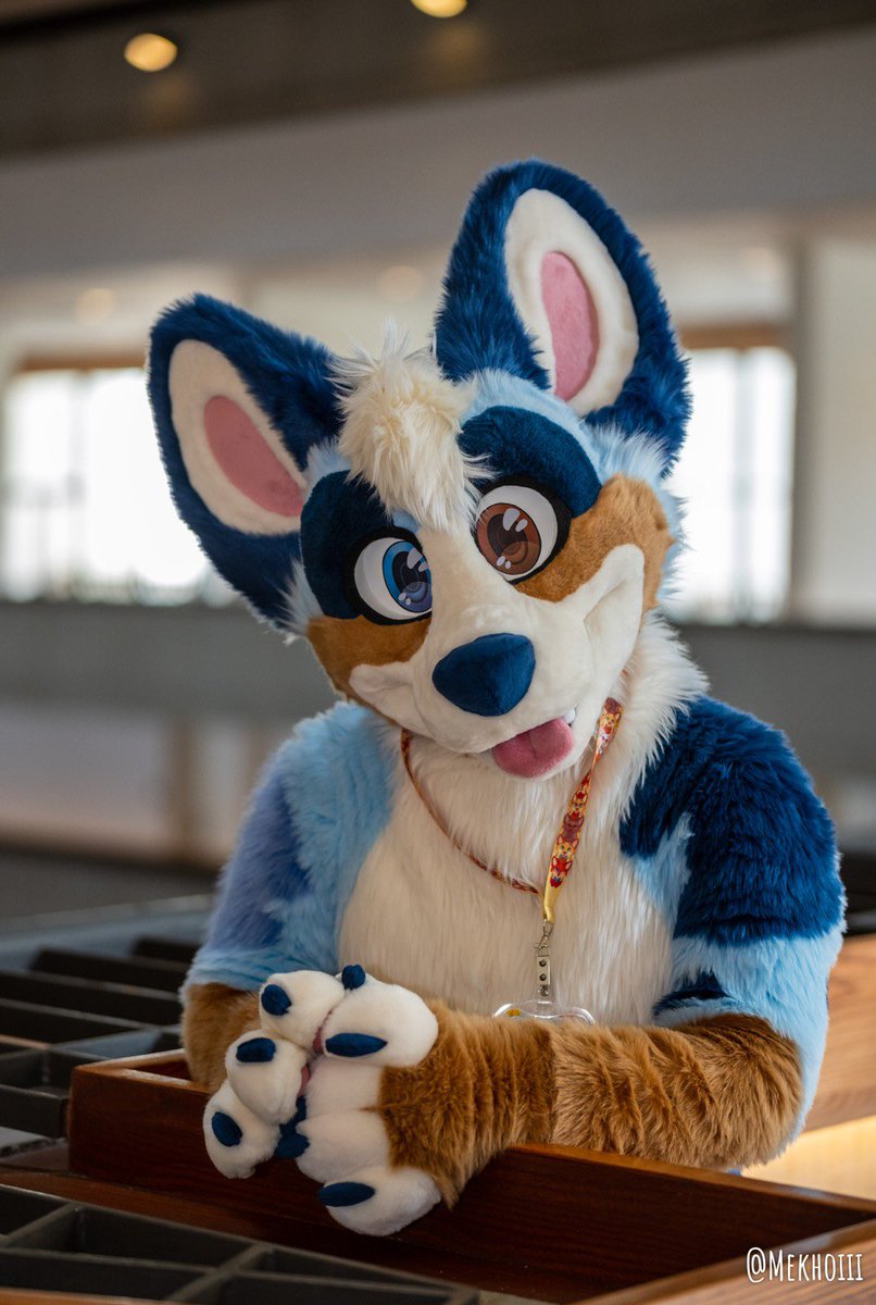 I won’t be at FWA this year, but I hope everyone has fun!! 📸: @Mekhoiii