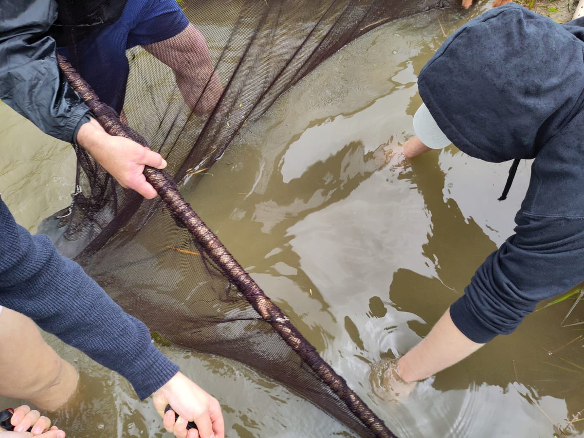 Gaur Zumaian egon gara gure lazun stock-a berritzeko saiakera egiten.
Hoy hemos estado en Zumaia pescando para renovar nuestro stock de mugílidos.
#kardalalhii #lanbideheziketapublikoa #fpeuskadi #aquaculture #mugilidae