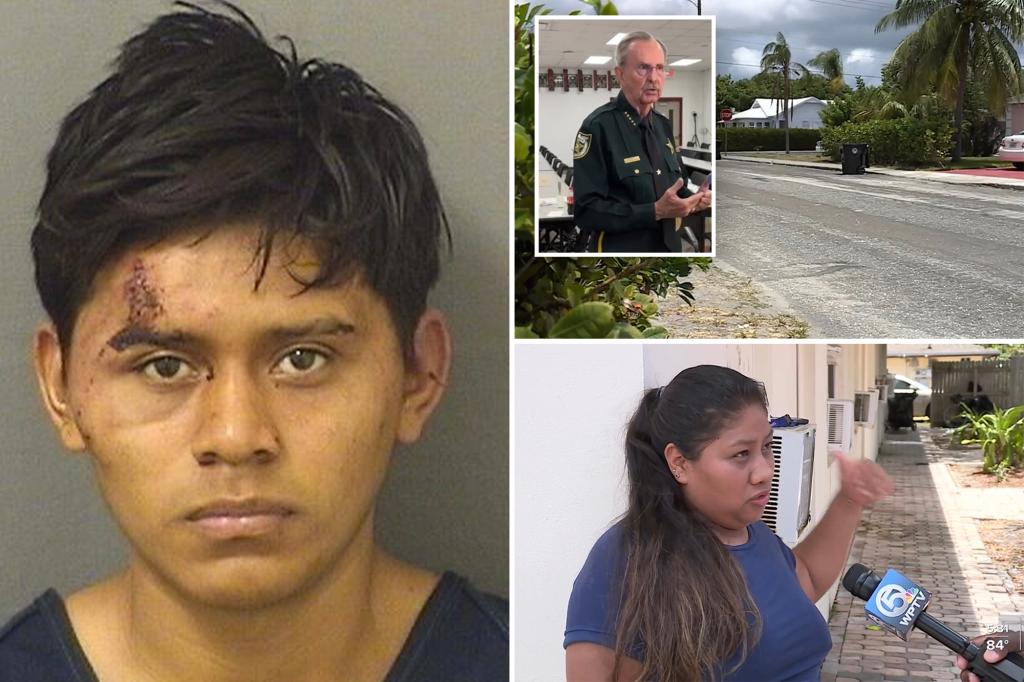 Undocumented migrant arrested in Florida for allegedly sexually assaulting 11-year-old girl trib.al/1axwsLT