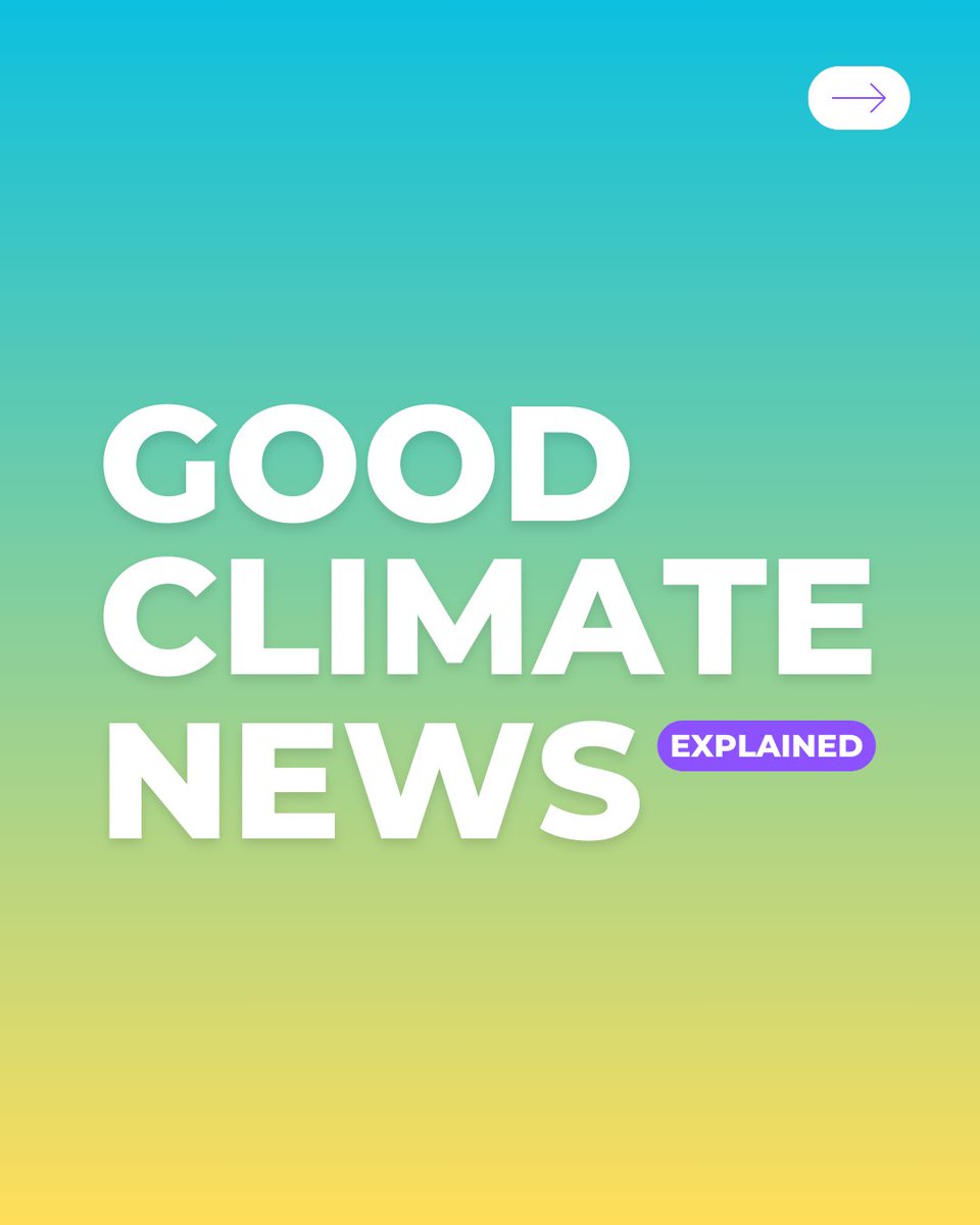 It's time for your weekly dose of good climate news. 🌈 
Share your favourite with us in the comments! 👇

#GoodClimateNews #PositiveNews #Personhood #Whales #Dolphins #FossilFuelInvestments #USuniversities #FirstNations #GoldmanEnvironmentalPrize2024 
#HeartfeldtFoundation