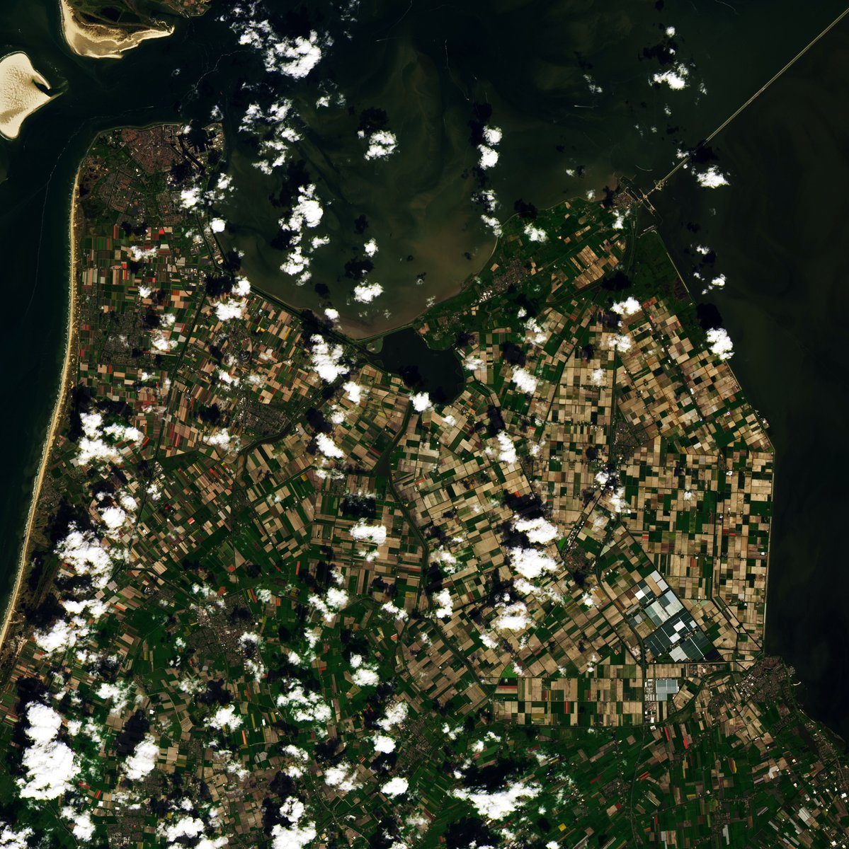 The Netherlands grows so may tulips you can see them from space. Zoom in for the red ones. 
earthobservatory.nasa.gov/images/152750/…