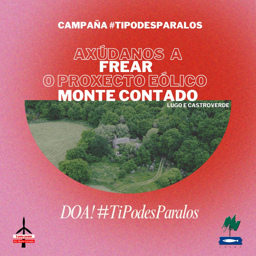 📢❗Lanzamos nova campaña de recadación #TiPodesParalos para procurar frear ⚖️nos tribunais o polígono eólico Monte Contado, 🎯proxectado en Lugo e Castroverde. 🙏A túa doazón é chave. Espalla!👉 tipodesparalos.helpbysc.com/montecontado adega.gal/novas.php?id=1… #TiPodesParalos #TPPMonteContado