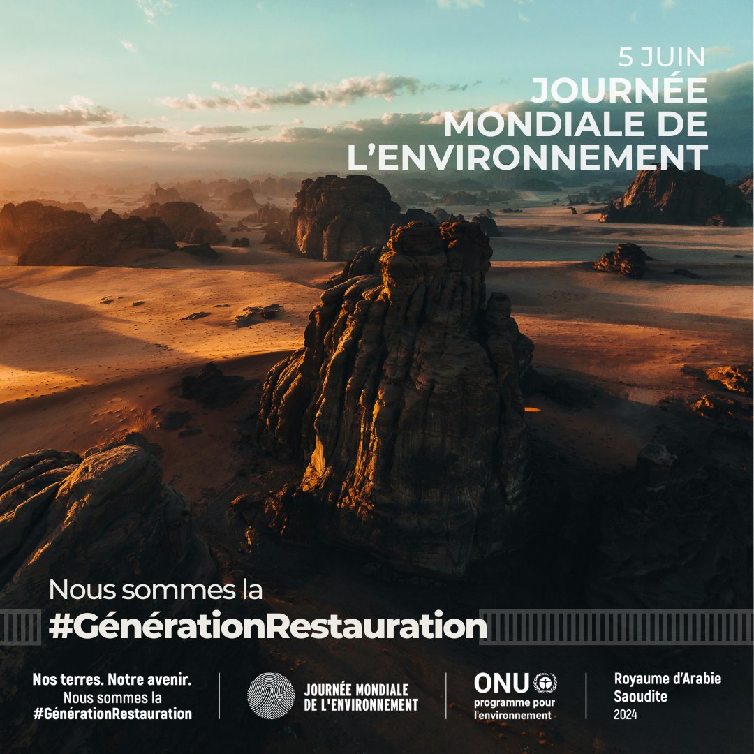 Le compte à rebours de la #JournéeMondialeDelEnvironnement est lancé.

Recevez des mises à jour régulières grâce à nos atualités, nos récits ainsi que des conseils pour faire partie de la #GénérationRestauration ici : worldenvironmentday.global/fr/articles-et…