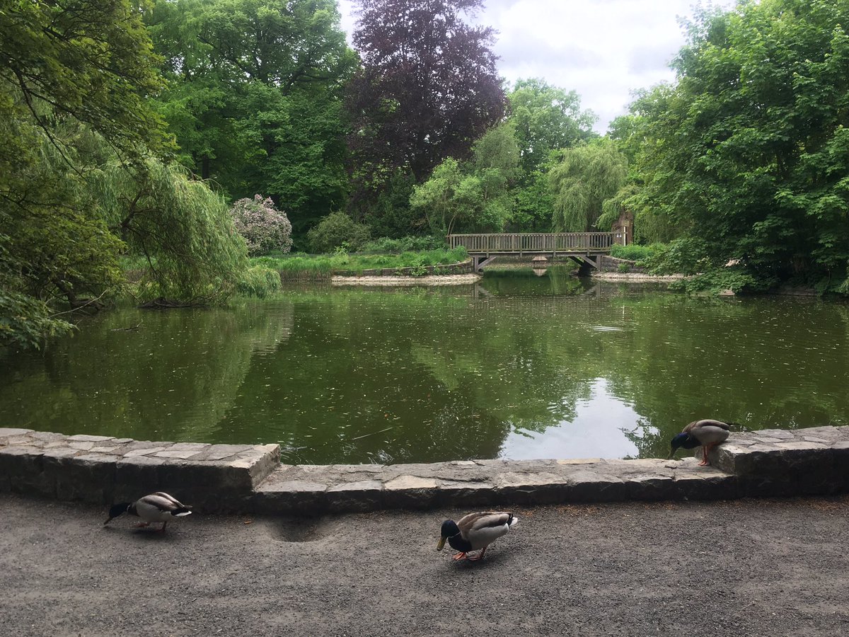 When Franz Kafka lived in Berlin in the 1920s, he would often come to the Stadtpark Steglitz to sit on a bench by the duckpond and sketch the passers by.