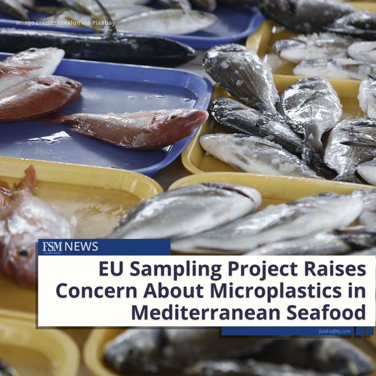 🎣 An EU project that monitors contaminants in Mediterranean fishing regions/seafood species discovered concerning levels of #microplastics in the guts and stomachs of some fish.

👉 The presence of other analyzed substances was low, however: brnw.ch/21wJxlk

#foodsafety