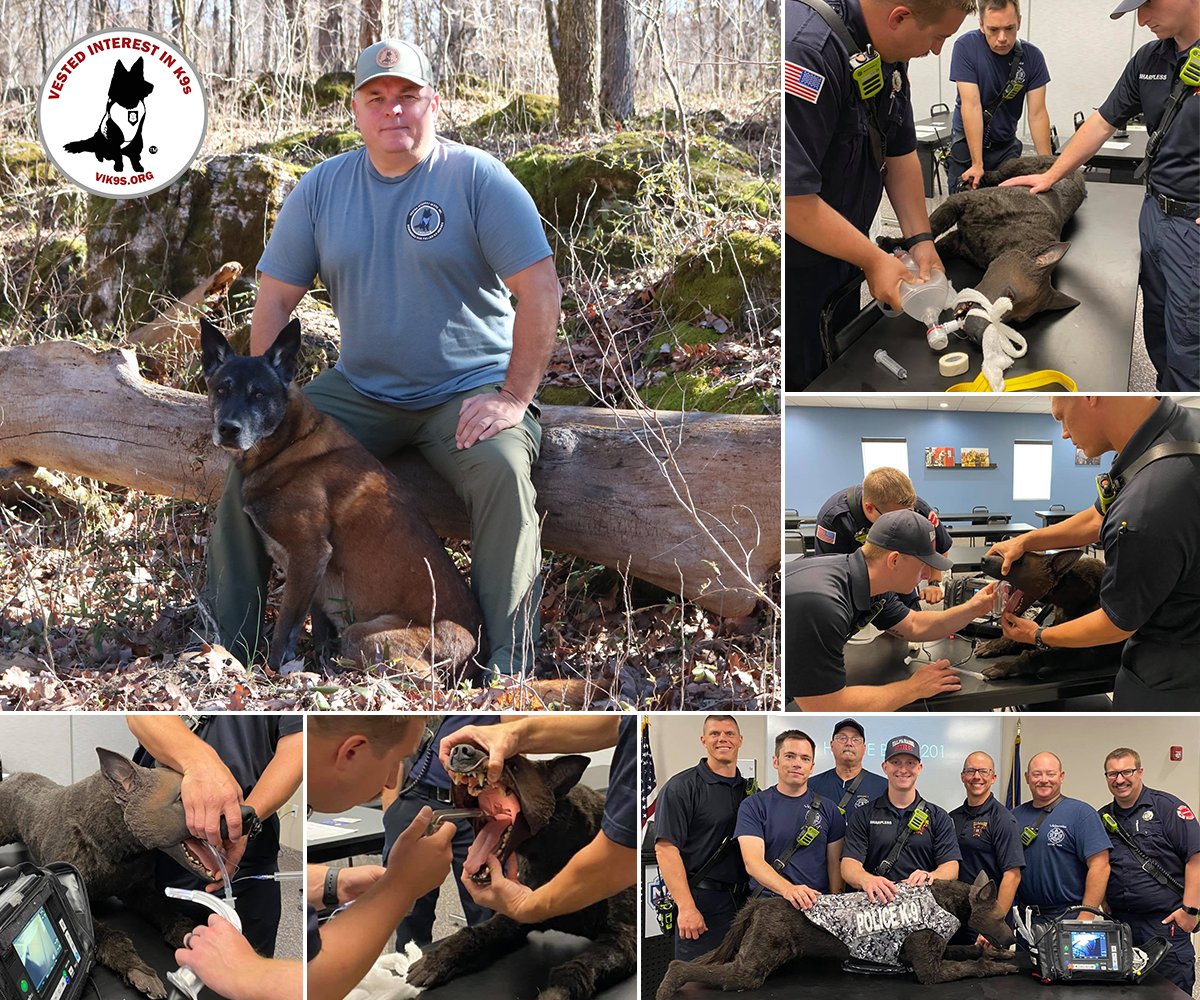 Read this month's VIK9s Newsletter featuring our latest news & announcements. #ProtectingK9s #SupportK9Heroes #VIK9sNewsletter bit.ly/3QvSdKv
