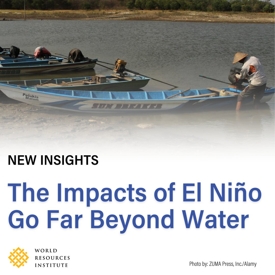 Over the past several months, the climate pattern #ElNiño has disrupted different regions and sectors across the world🌍 Examine the ripple effects of El Niño-fueled drought across 3 countries▶️ bit.ly/4dqTYSZ