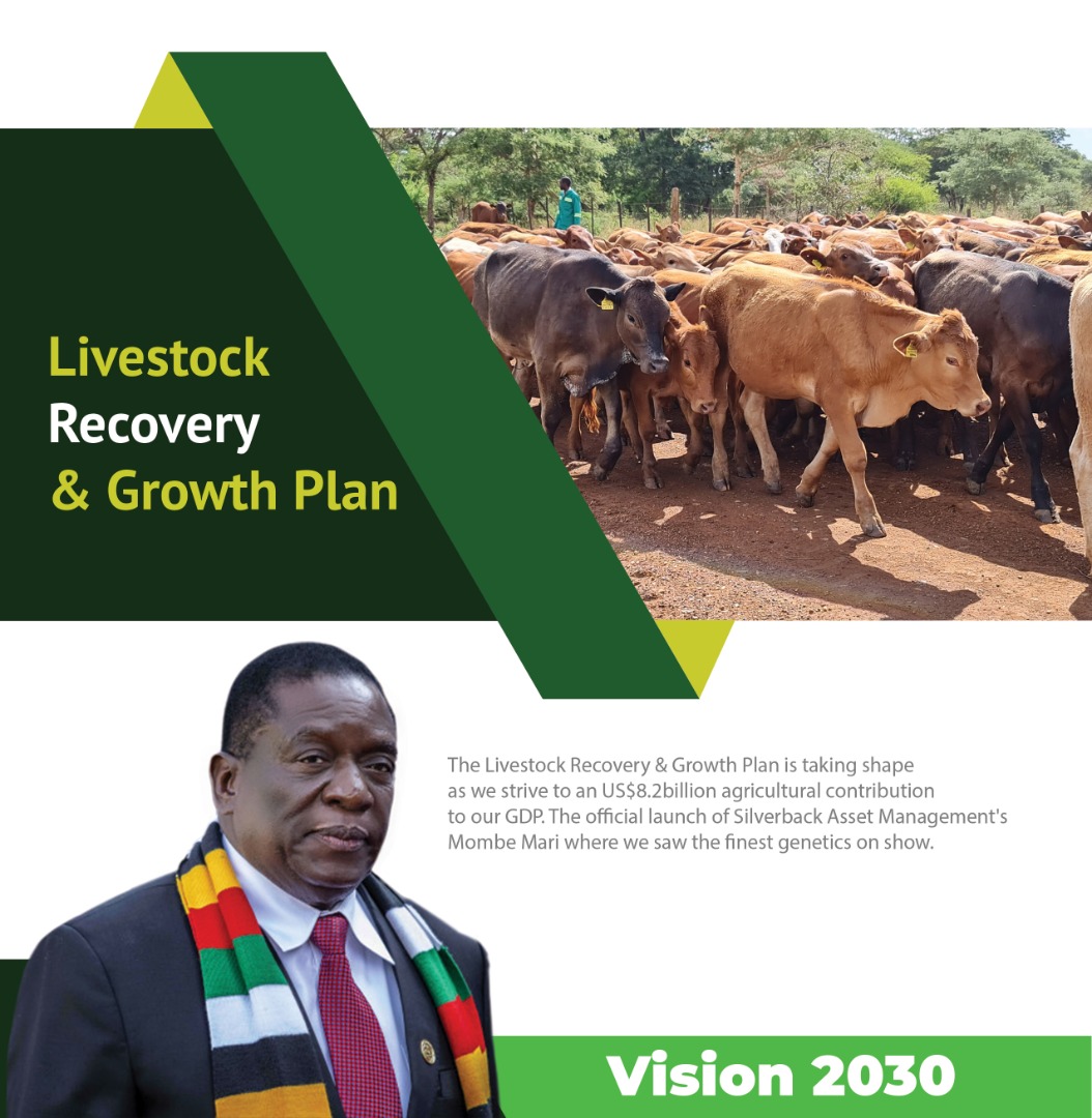 Under the Livestock Recovery and Growth Plan (2021-2026), the Second Republic government has managed to put in place solid interventions to address livestock production and productivity issues that lay a good foundation for the livestock sector. #Vision2030