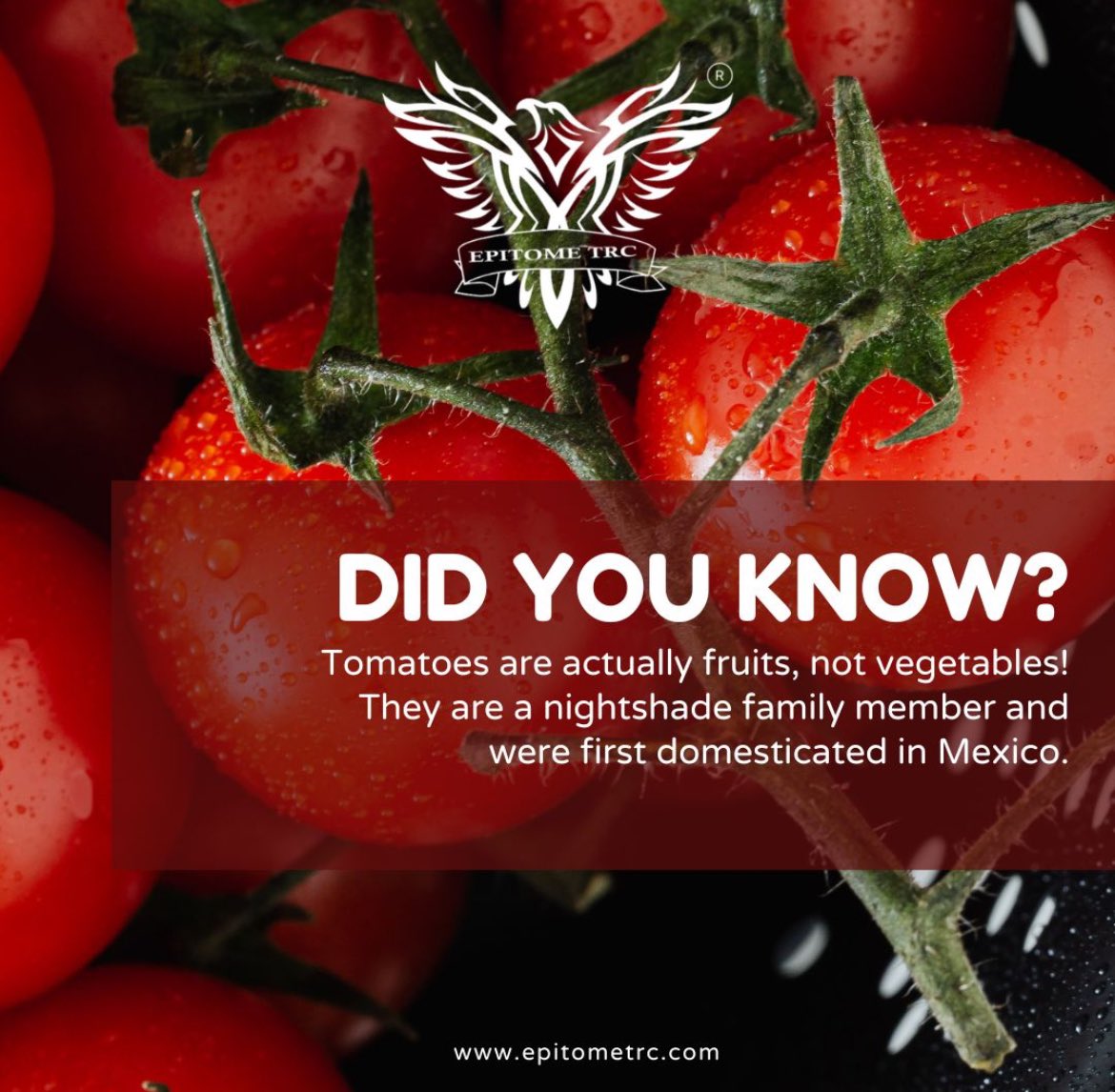#didyouknow #tomato #mexico #fruits #vegetables #epitometrc