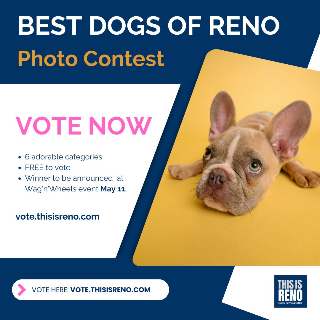 🐶 Who's got the best dogs in Reno? Submissions are in with six different categories. It is now time to vote! Winners will be announced Saturday at the Wag N' Wheels fundraising event.