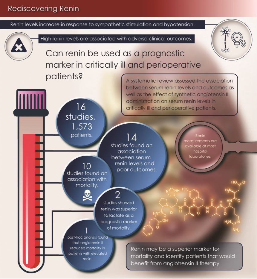 IARS_Journals's tweet image. Can #Renin be used to predict mortality?

Rediscovering Renin #VisualAbstract #Anesthesiology #ICU

buff.ly/3wzZVwa