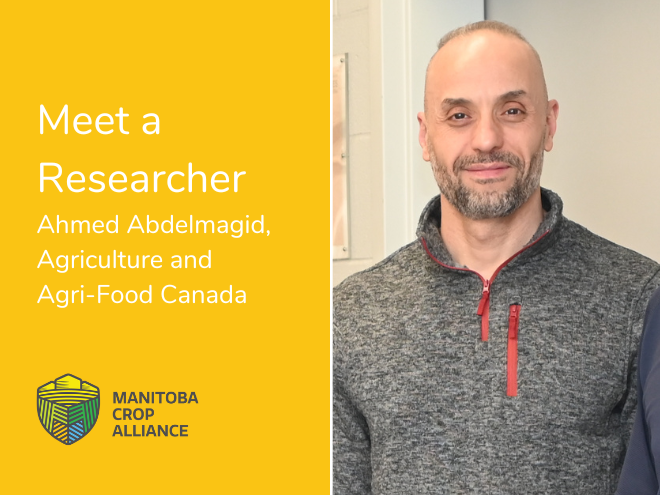 Meet Ahmed Abdelmagid, research scientist at @AAFC_Canada. Learn more about him and his research here: ow.ly/cTZp50RpFTG #cdnag #westcdnag #MbAg #MBFarms