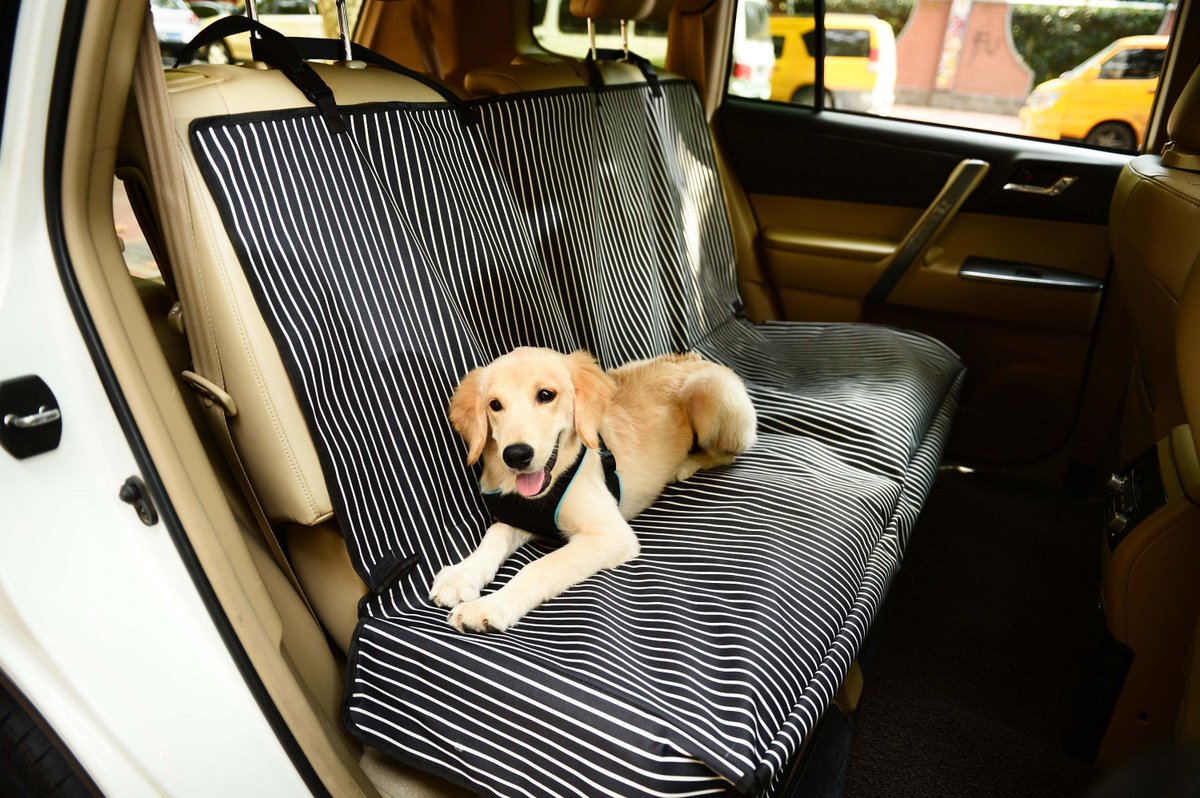PET LIFE OPEN ROAD MESS-FREE BACK SEAT SAFETY CAR SEAT COVER PROTECTOR FOR DOG, CATS, AND CHILDREN

platinumdogsupply.com/products/view/… 

#carseatcover #caraccessories #seatcovers #carinterior #carseatcanopy #carseatsafety #carmats #carseatcovers #carcover #seatcover