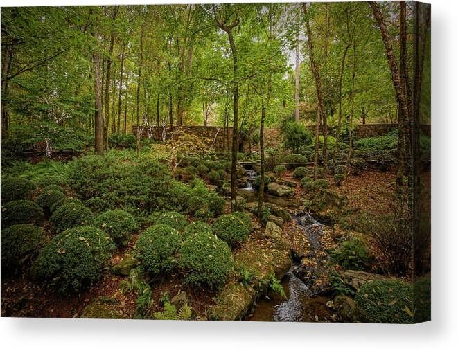 Garvan Woodlands Canvas Print #HotSprings #Arkansas #garden #nature #travel #photography #prints for your #home or #office #decor #FillThatEmptyWall #BuyIntoArt View all print options here ---> buff.ly/3UyfRY0