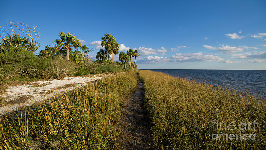 New artwork for sale! - 'Beautiful Florida Shoreline' - fineartamerica.com/featured/beaut… #photography #naturephotography #landscape #Florida
