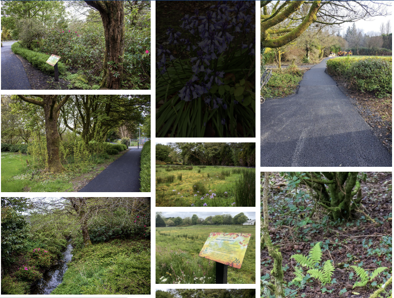 Thrilled this beautiful walk is at last opening, having been delayed by a certain virus..Inspired by 'Creation Walk: The Story of a Small Blue Planet' by Brian Grogan SJ, one of our most popular authors :“packed with information & insight” @IrishCathNews knockshrine.ie/launch-of-new-…