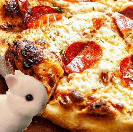hmm.. gud 🍕 but not carrot.. i keep searching 🐰🥕