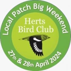 LATEST NEWS: The Local Patch Big Weekend 2024 held on Sat 27th & Sun 28th April. Eleven teams faced the task of finding as many different birds on their local patches over the 48-hour period as possible.  Read the full story here… hnhs.org/herts-bird-clu… #hertsbirds