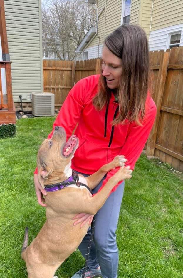 #TongueOutTuesday Roxanna is ready to be your gal pal! This pittie potato has the best smile & is SO happy. She's a wigglebutt who loves being in your lap, getting butt scritches & making you laugh. She seems like she'll be quite comfy in a home. tinyurl.com/meetacitydog #adoptme