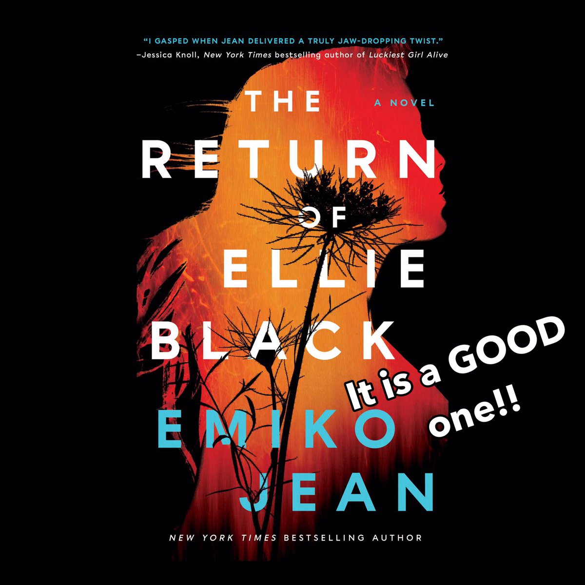 When Ellie black came back after being missing for two years she shocked everyone and wouldn’t tell anyone where she was.

Intense, has disturbing scenes, and some jaw-dropping surprises.

tinyurl.com/bdexw9f5

Emiko Jean
@simonandschuster