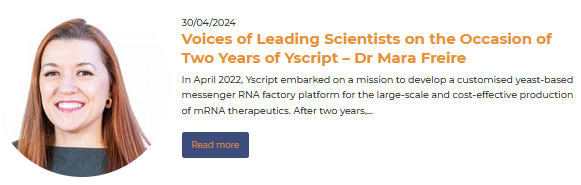 🎉 We are celebrating #Yscript's second birthday❗

On this occasion, our leading #scientists give you insights into their work on a yeast-based #mRNA factory.

<a href="/MaraGFreire1/">Mara Guadalupe Freire Martins</a> from <a href="/ciceco_ua/">CICECO – Aveiro Institute of Materials</a> at <a href="/UnivAveiro/">Universidade Aveiro</a> is kicking things off:

👉 yscript.eu/news/voices-of…

#YscriptTurnsTwo