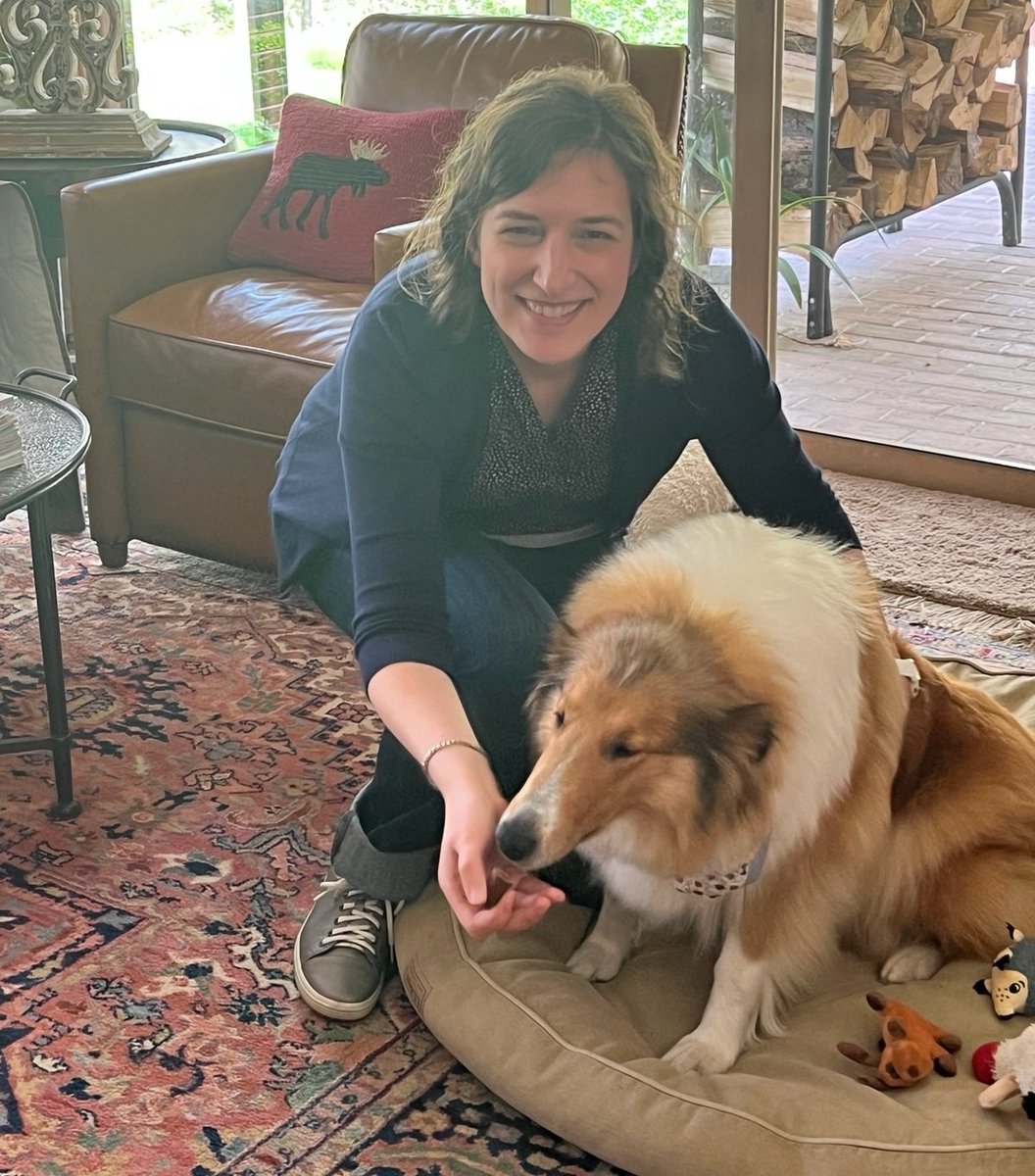 Almosthomeohio's tweet photo. Sweet Molly was adopted!

#AHDRO #Collie https://t.co/osX9jouMC6
