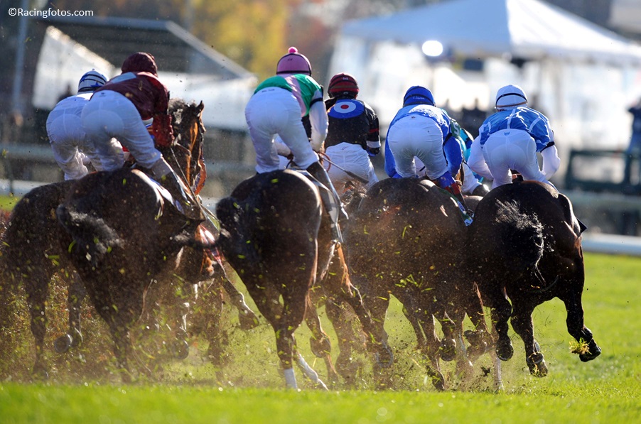 Reminder: The next edition of the Longines World's Best Racehorse Rankings will be released this Thursday, the 9th of May.