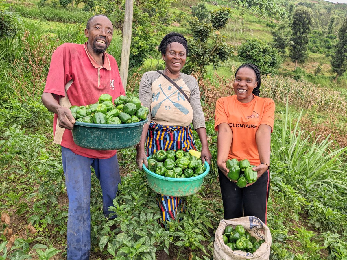 @CorpsAfricaRda @RwandaYouthVol1 @CorpsAfrica @PaulKagame @JCMusabyimana @jnabdallah Proud to be part of CorpsAfrica/Rwanda, where Rwandan volunteers are driving transformative change from within. We've created 128 kitchen gardens, 141 bedracks,and are implementing chili and Piggery farming project that will generate  108,184RWF for each of the 180 youth members.