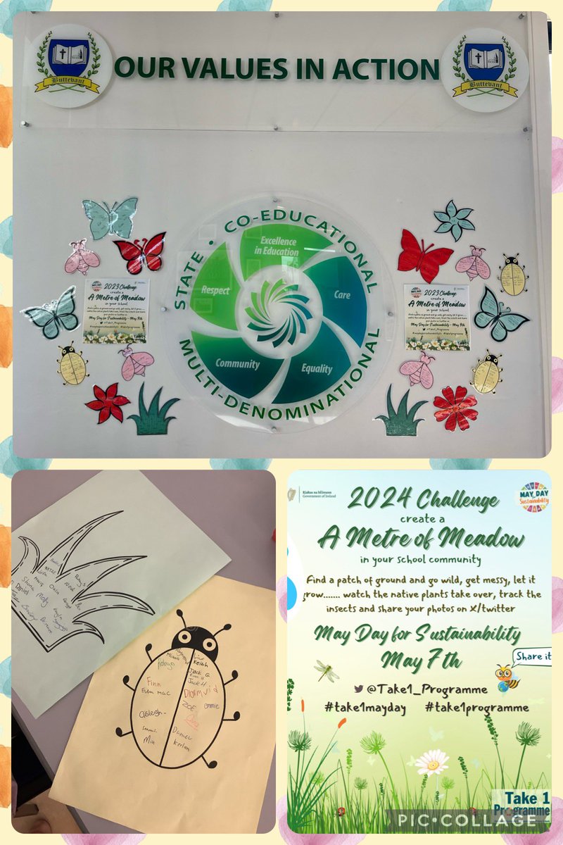 Our first year groups started signing their wildflowers, bugs &amp; bees to be added to our ‘Indoor Metre of Meadow’! 🌎🐝🐞🪲🦋🌺🌼 #MayDay2024 <a href="/Take1_Programme/">Take 1 Programme</a> #take1mayday <a href="/CorkETB/">CorkETB🇮🇪🇪🇺</a> <a href="/ETBIreland/">ETBI</a>