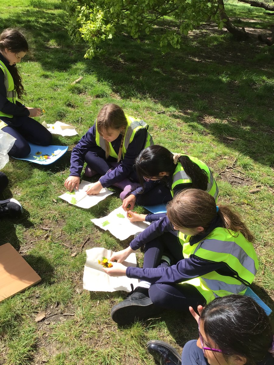 Year 5 enjoyed an outdoor learning session on Hampstead Heath last week, creating dens for mini-beasts and nature-inspired art. 🍃#openingdoors #mehrlicht