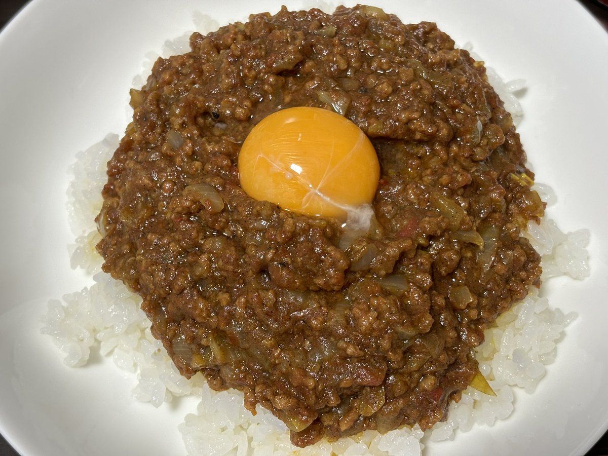 キジトラ・キーマカレー