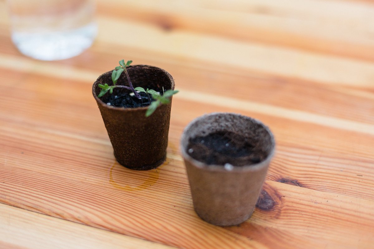 👏 Preparació de l'hort i calendari de sembra.

👀 En les primeres dues sessions aprendrem quines eines i productes necessitem per cultivar un hort.

🗓️ I farem un repàs sobre quines hortalisses podem sembrar en cada moment de l'any.

bit.ly/3UBV4UE