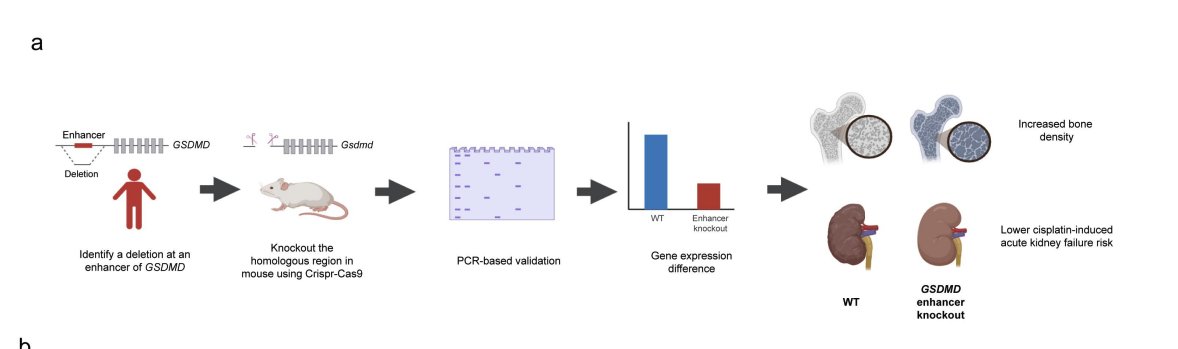 Fritz Sedlazeck tweet media