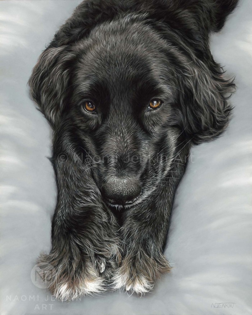 I received this gorgeous photo of Xander's framed portrait last week, hanging proudly in my clients home. I absolutely loved drawing this sweet dog. 'Xander' - drawn in pastels, 16 x 20 inches
#dogportrait #petportrait #rescuedoglove #petportraitartist #dogartist #therapydog