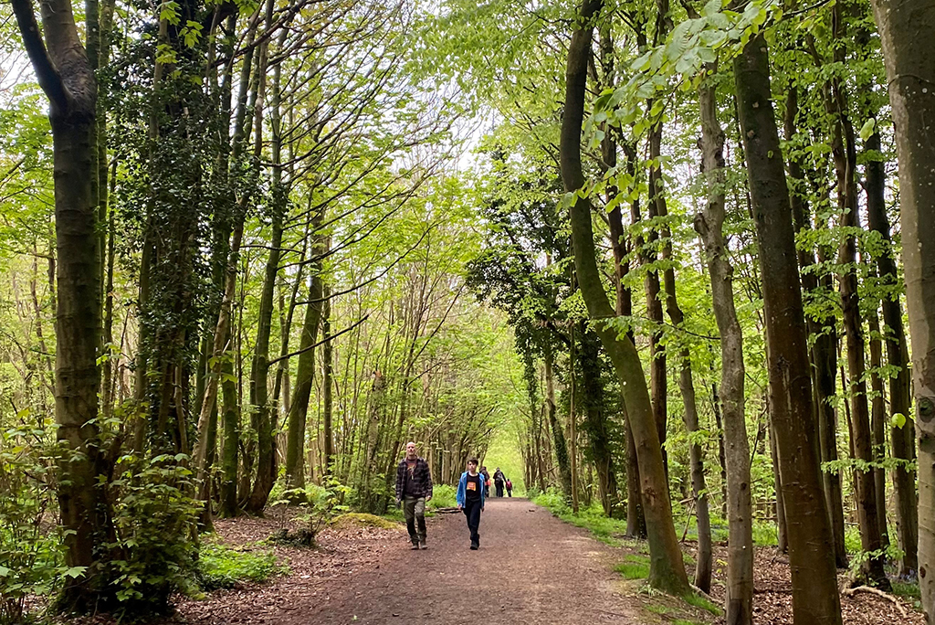 During the #londonnationalparkcity week, there are some fabulous guided explorations walks in various London boroughs inc. the City, Islington, Hackney, and Lee Valley. See details https🚶🚶://bit.ly/4bsFjVK #walkthismay