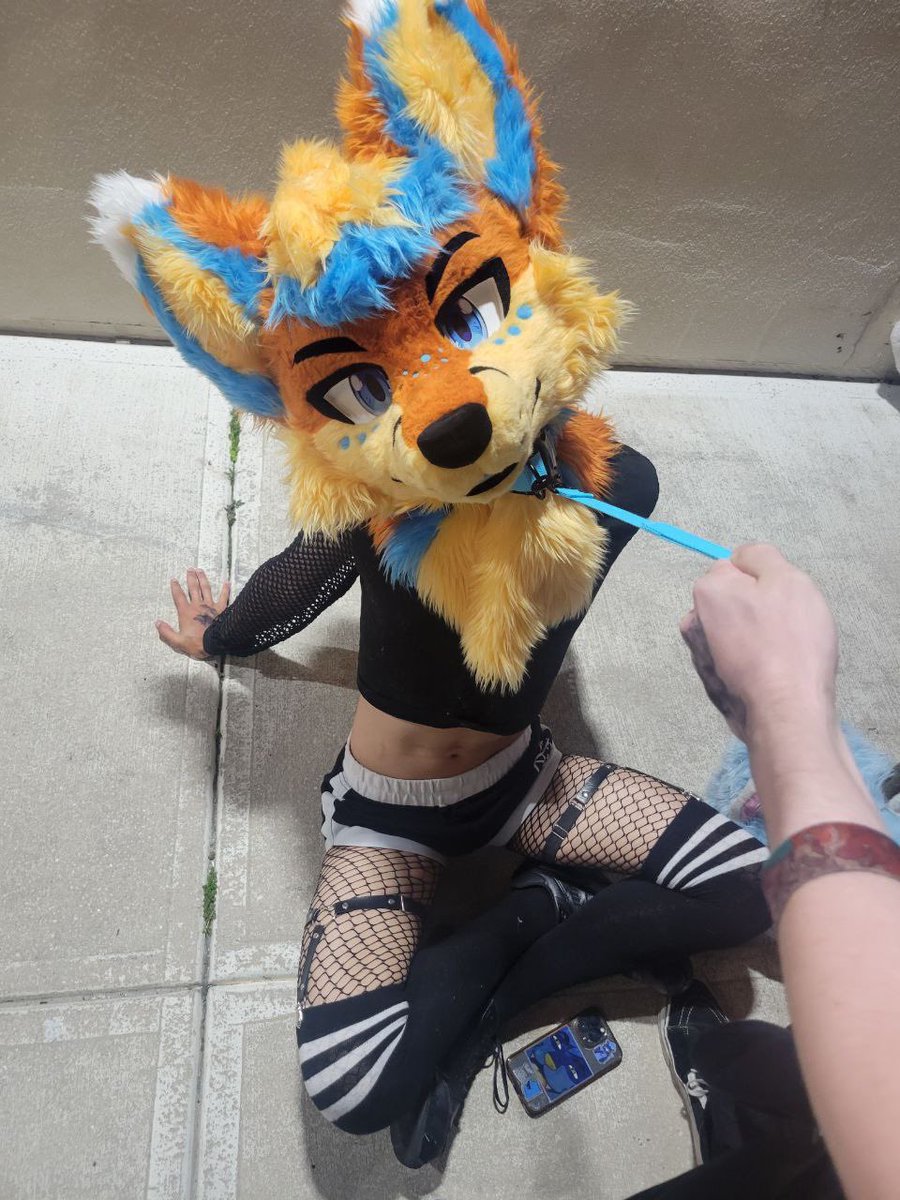 Apollhoe Folf~ 🔜FWA tweet media