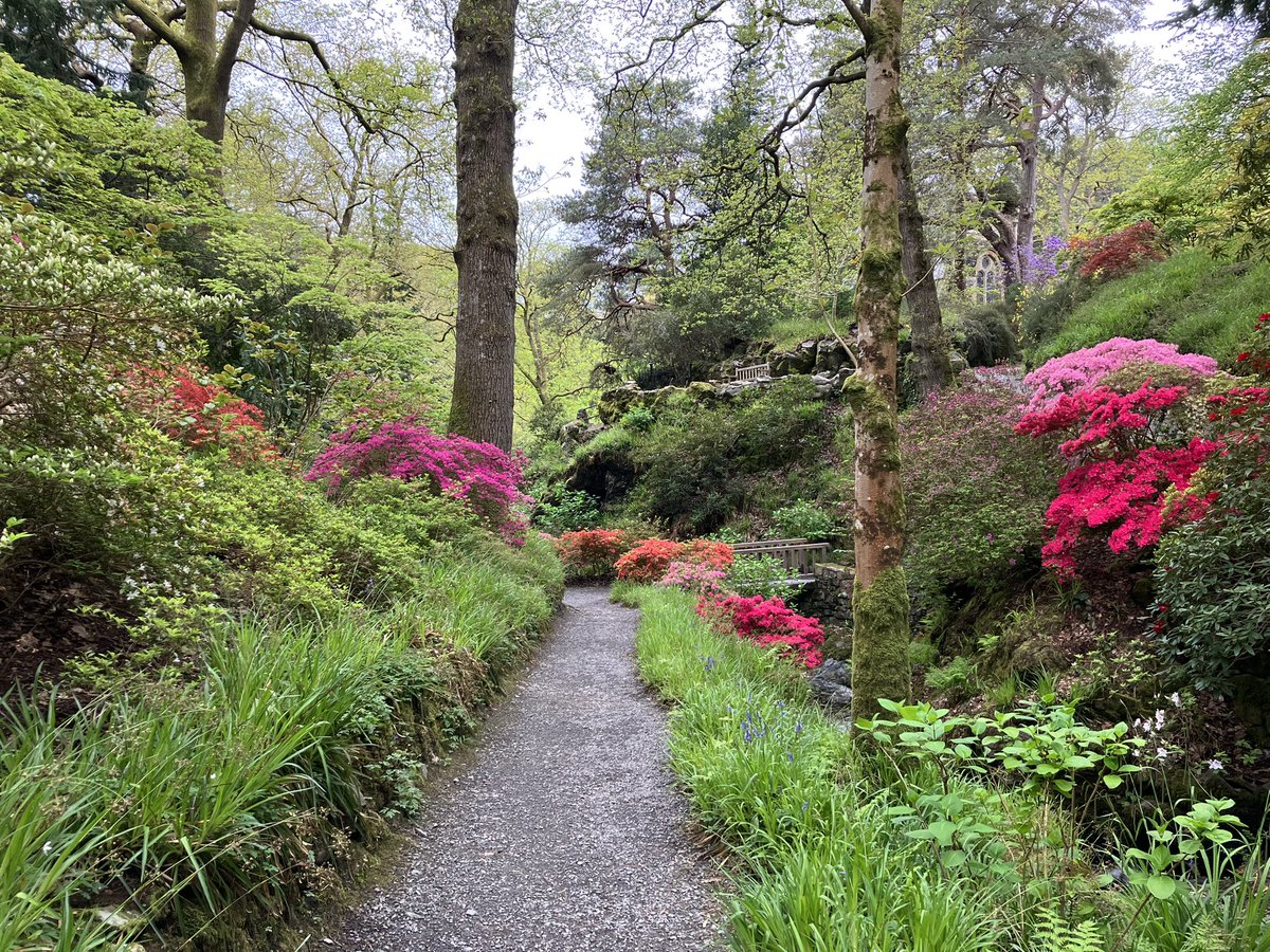 Katie Benallick tweet media