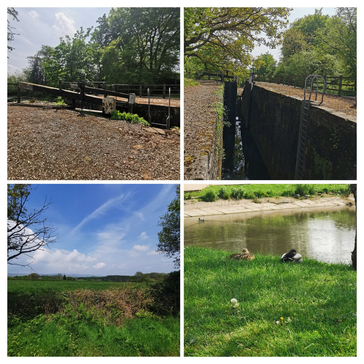 flub5568's tweet photo. #14locks https://t.co/lwAiL4qqg2