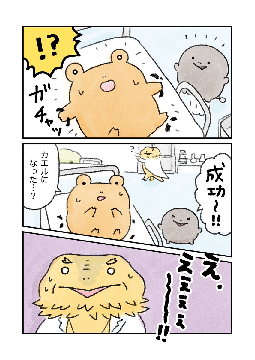 (2/3) 