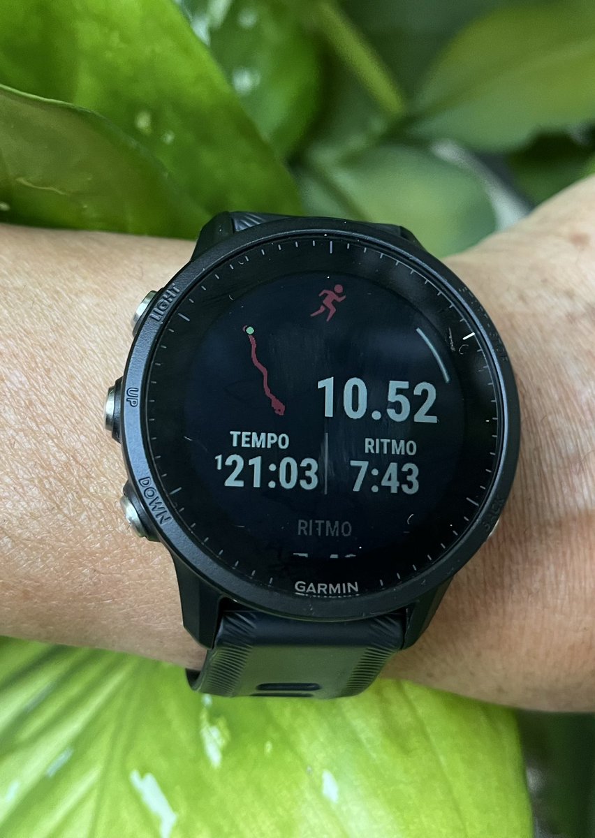 RunnerWO's tweet photo. O atletismo é ciência e paciência!
Na madrugada 81 minutos de footing na relva em circuito variado (subidas e descidas)!
#atletismo #disciplina #running #paciencia #regularidade #master #coach #athletics https://t.co/GgV8kTHFpE