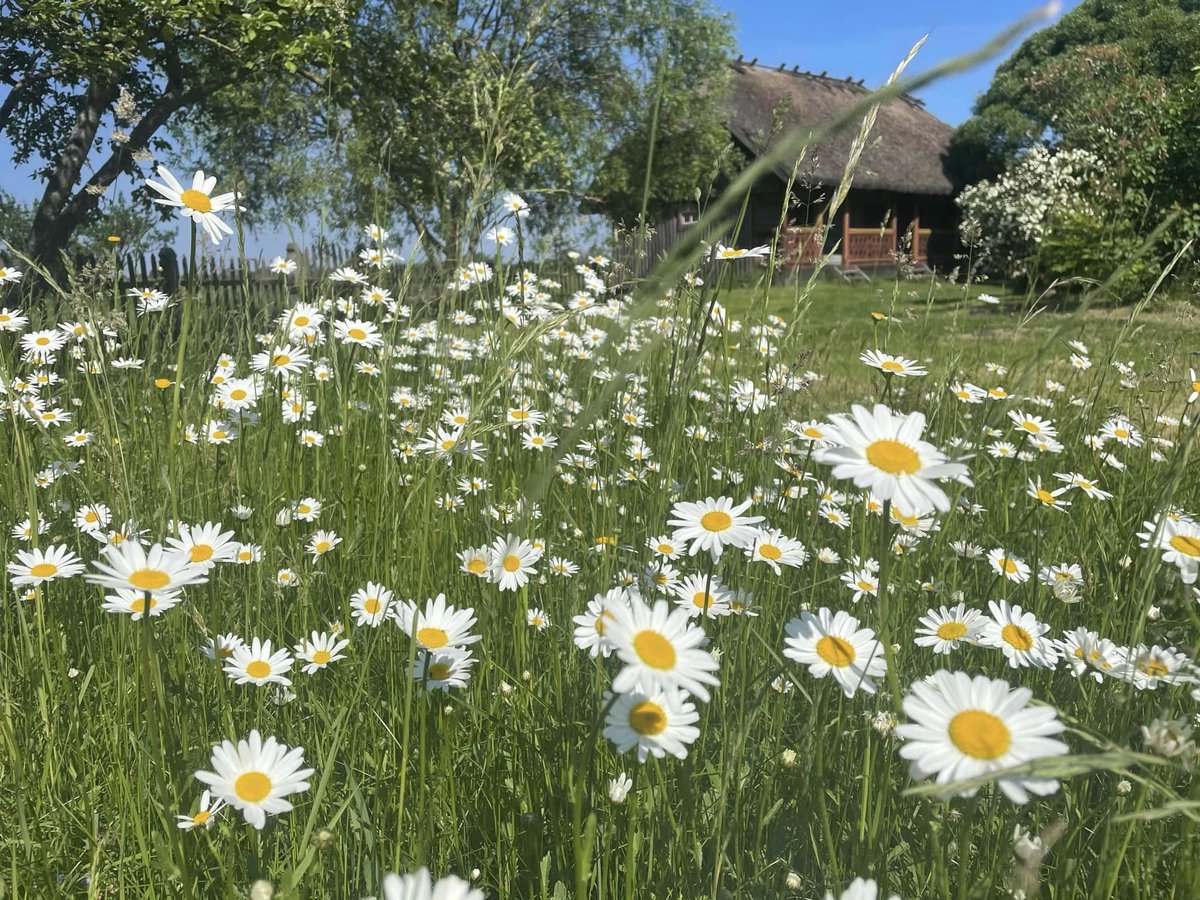 'Natural and cultural heritage: the importance of preserving natural grasslands today.'

I am very proud that this kind of lectures takes place in Latvia!