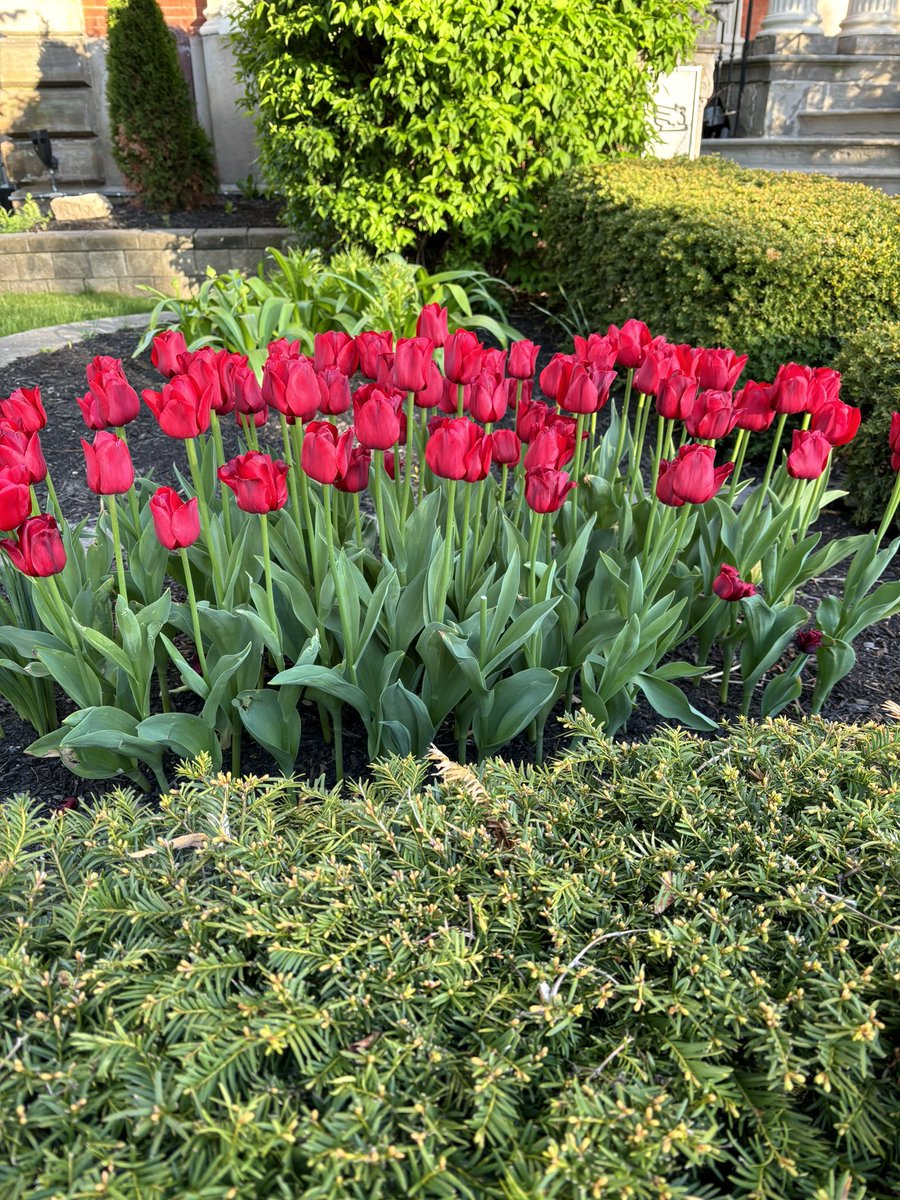 Jacinda H. Conboy tweet media