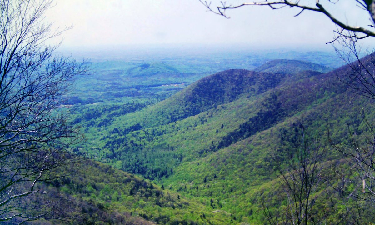 May 7, 1983, 41 years ago today: And then, disaster struck. Last night, swarms of mice, the only permanent inhabitants of almost every Appalachian Trail shelter,

#backpacking #landscapephotography #hiking #hikingadventures #georgia #mountains #nature #forest #AppalachianTrail