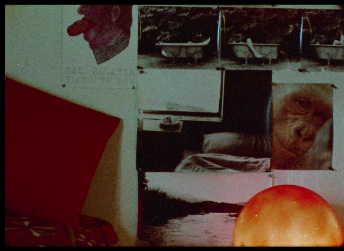 OpenCityDocs's tweet image. We are deeply saddened by the news that Narcisa Hirsch passed away in the weekend. It was an honour to present her films at the festival just over a week ago, in 2 programmes beautifully curated by Jessica Sarah Rinland. Our thoughts are with her family and friends.